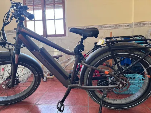 velo radrhino plus