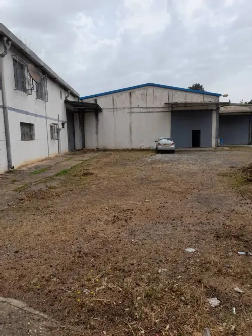 Location Hangar - Usine Alger Khraissia