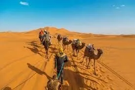 TIMIMOUNE Par Avion en Avril 2026 - Hôtel DJENAN MALEK pour 04 Jours à 62.000 Da رحلة منظمة لتميمون
