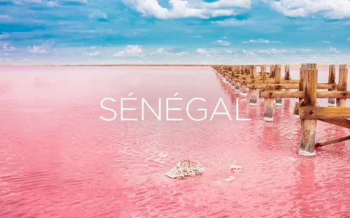 Voyage Organisé au SENEGAL - 08 Jours dans 02 Villes à 315.000 Da رحلة منظمة إلى السنغال