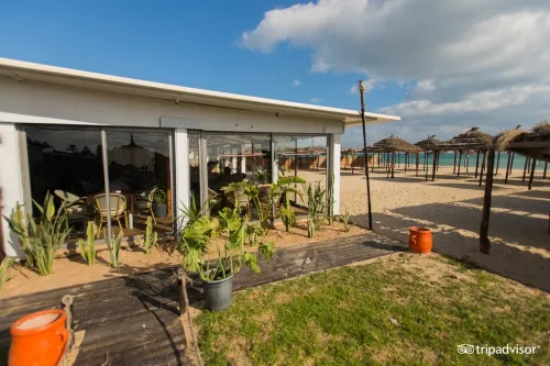 Tunisie / Hammamet par Bus Hôtel Yasmine Beach à 48.990 Da رحلة لتونس بالحافلة