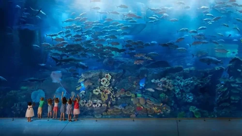 DUBAI - Billet + Hôtel 4* + Excursions 08 Jours à 185.000 Da 