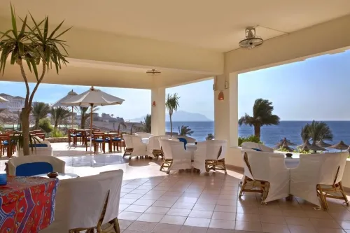 EGYPTE - Décembre et Réveillon 09 Jours Caire & Sharm El Sheikh à 205.000 Da
