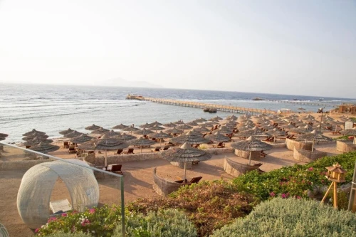 Sharem El Sheikh VOL DIRECTE - 12 Jours en AOUT Hotels 5* Programme Économique رحلة منظمة لشرم الشيخ
