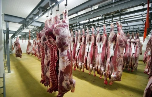 Ligne pour Abattage / abattoirs vache, mouton et volaille