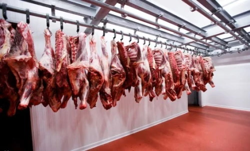 Ligne pour Abattage / abattoirs vache, mouton et volaille