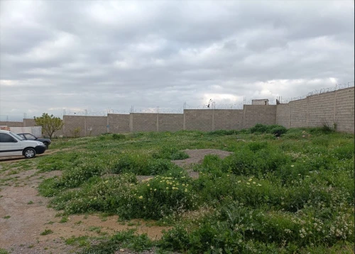 Vente Terrain Tlemcen Tlemcen