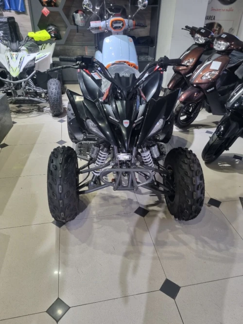 Vms Raptor 250cc 2025