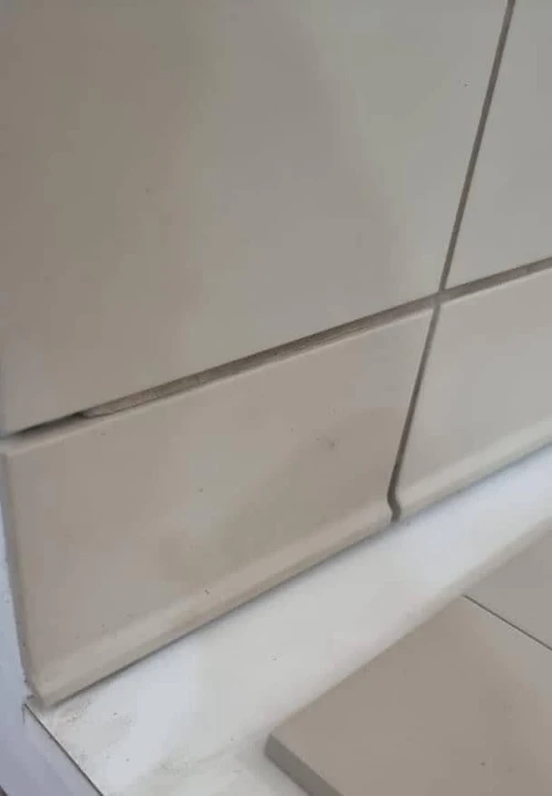 Porcelaine  et  Grès cérame anti acide