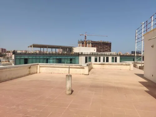 Vente Hangar Alger Bordj el kiffan