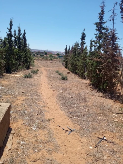 Vente Terrain Mostaganem Sidi lakhdaara