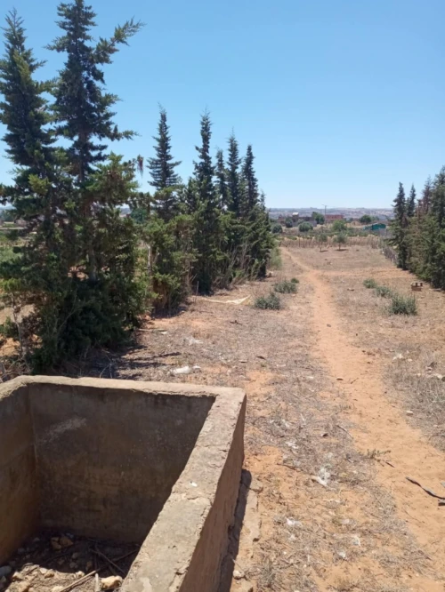 Vente Terrain Mostaganem Sidi lakhdaara
