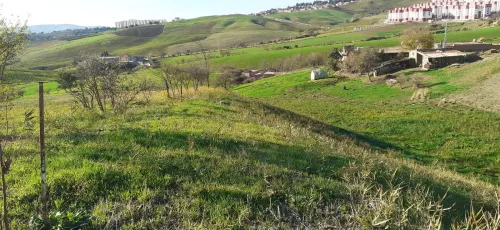 Vente Terrain Medea Medea