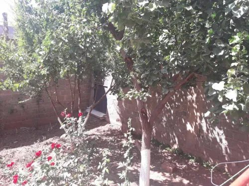 Location Villa Blida Beni tamou