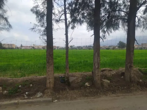 Vente Terrain Blida Ouled yaich
