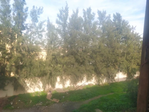 Vente Appartement F3 Blida Soumaa