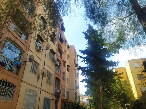 Vente Appartement F3 Blida Ouled yaich