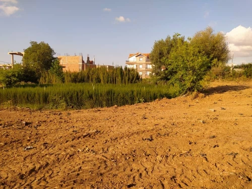 Vente Terrain Blida Guerrouaou