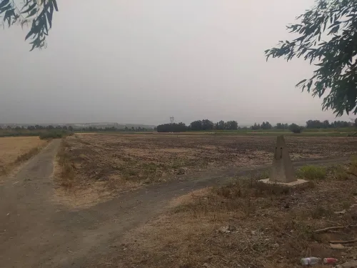 Vente Terrain Agricole Blida Ouled el alleug