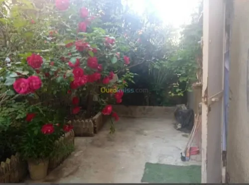 Location Villa Blida Bouinan