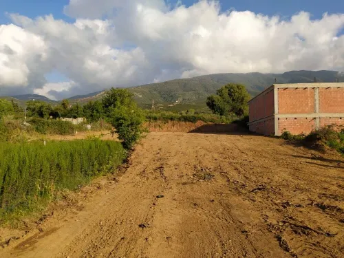 Vente Terrain Blida Guerrouaou