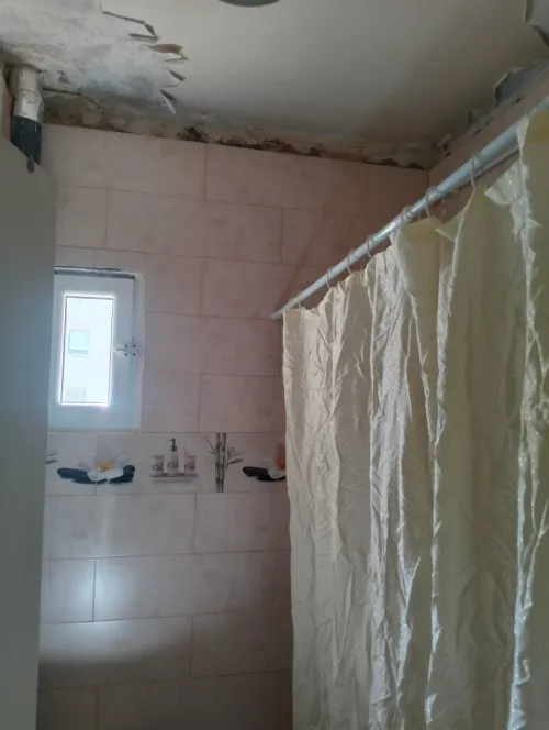 Location Appartement F3 Blida Ouled yaich