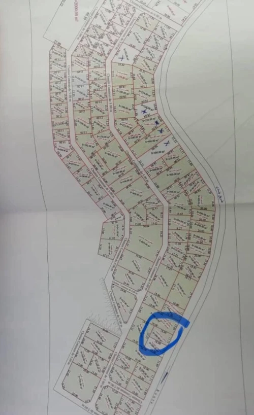 Vente Terrain Blida Bouinan