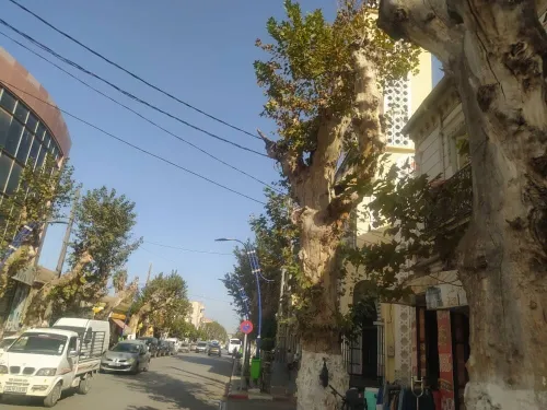 Location Local Blida Ouled el alleug