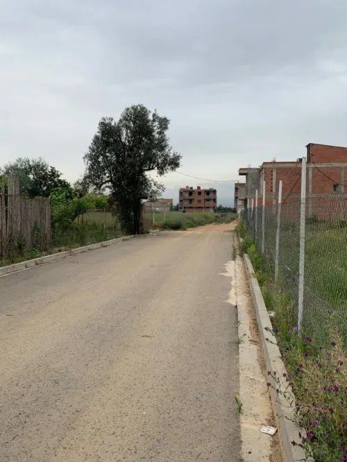 Vente Terrain Alger Dar el beida