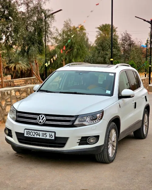 Volkswagen Tiguan 2015 Cub