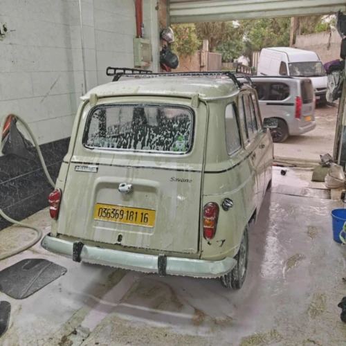 Renault R+4 1981 0540441465