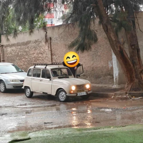 Renault R+4 1981 0540441465
