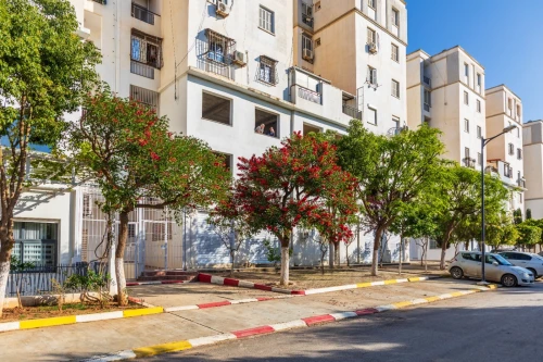 Location Local Alger Birkhadem