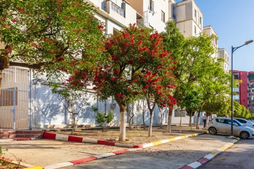 Location Local Alger Birkhadem