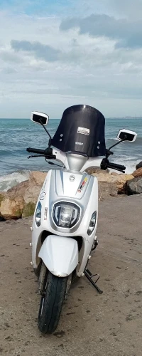 Vms Estate x 2025