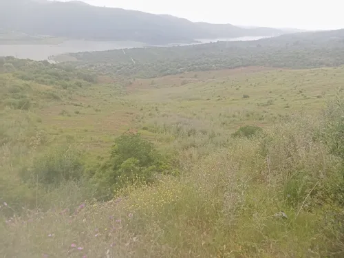 Vente Terrain Boumerdès Bouzegza keddara
