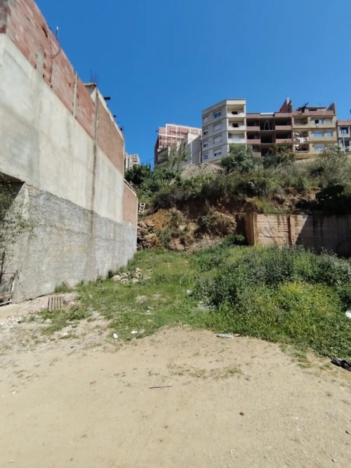 Vente Terrain Alger Bouzareah