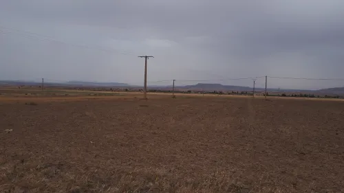 Vente Terrain Agricole Sidi bel abbes Sfissef