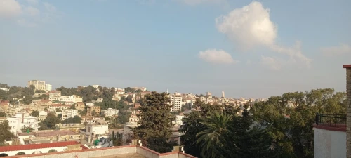 Vente Terrain Blida Ouled selama