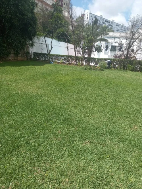 Location Villa Alger Hydra