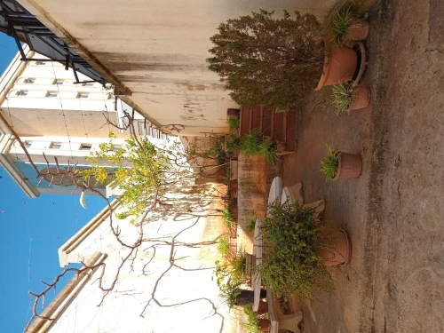 Vente Villa Alger Ben aknoun
