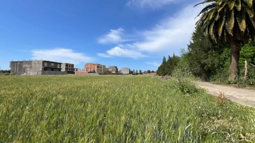 Vente Terrain Alger Douera