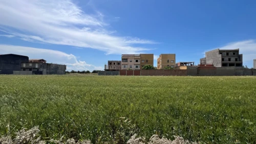 Vente Terrain Alger Douera 2