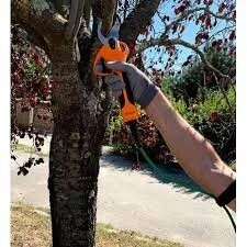 SECATEUR ELECTRIQUE ES1601 AOWEI