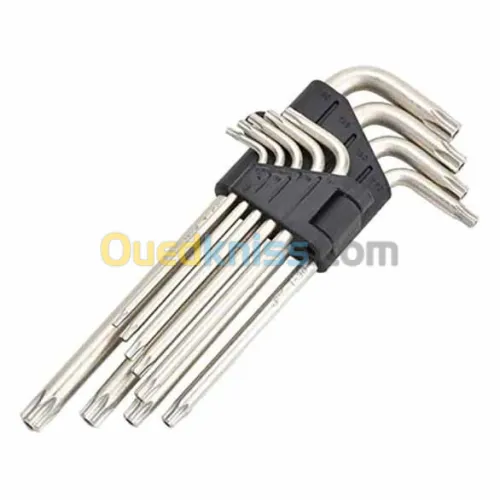 JEUX CLE DENTS DE SOURIS 09PCS DASTOOL