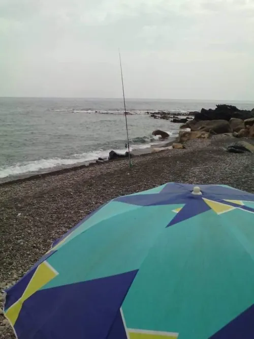Location Bungalow Bejaia Tamridjet