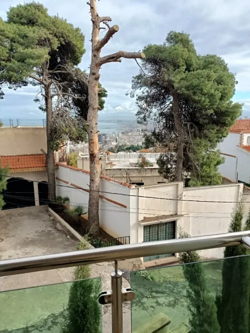 Location Appartement F3 Alger El biar
