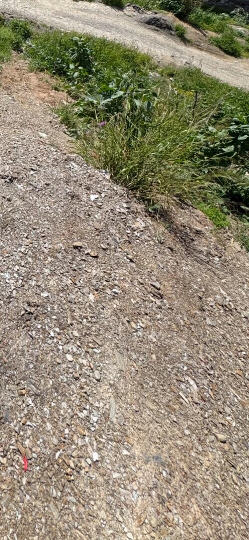Vente Terrain Alger Bouzareah