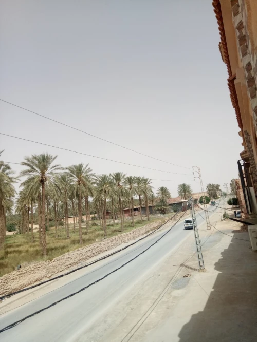 Vente Hangar - Usine Biskra Biskra