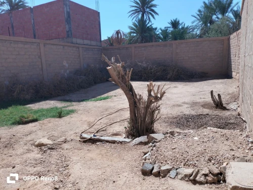 Vente Villa Biskra Biskra